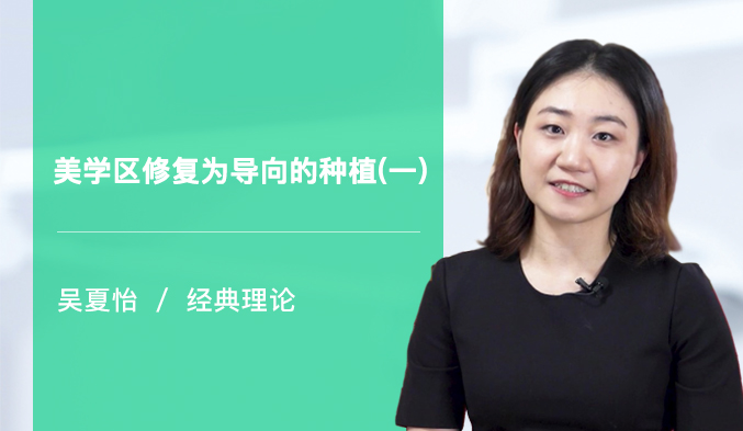美学区修复为导向的种植（一）