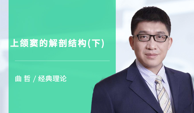 上颌窦的解剖结构（下）